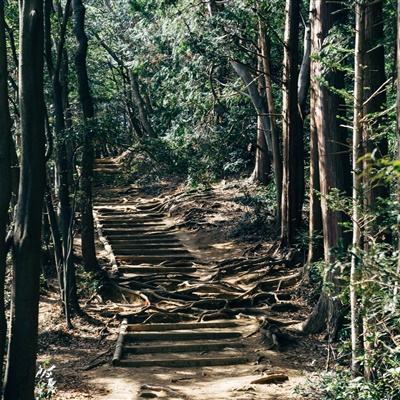 噩梦！大批亚马逊卖家订单量遭遇滑铁卢